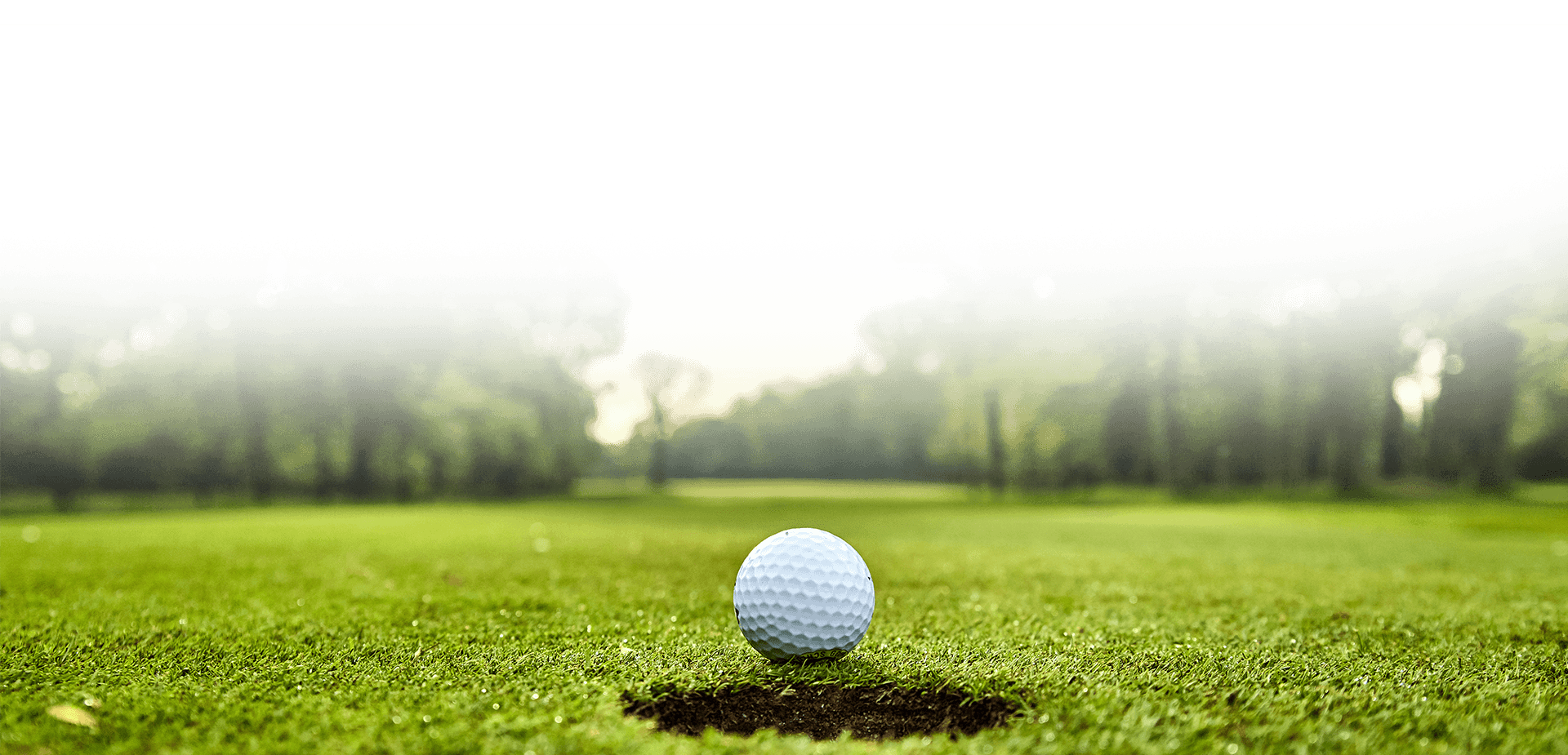 Golf prize pool background